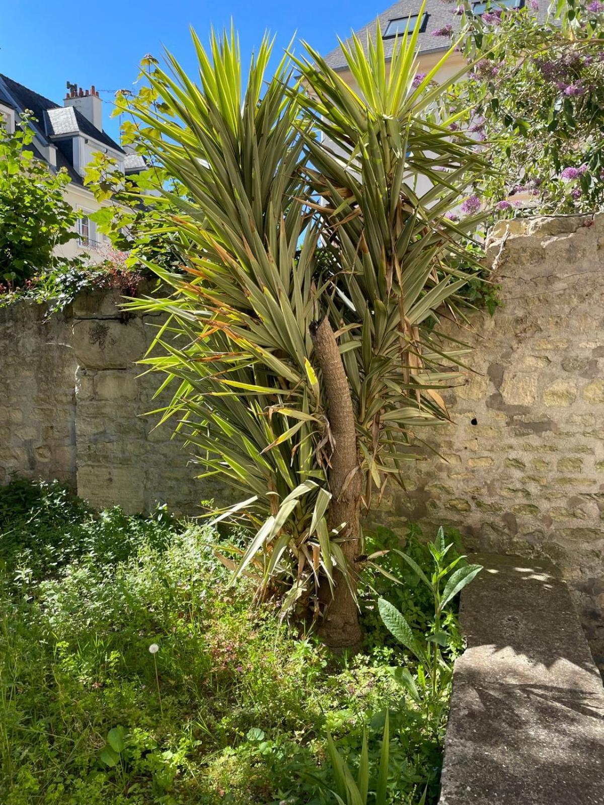 Le Nid D Abbaye Appartement Caen